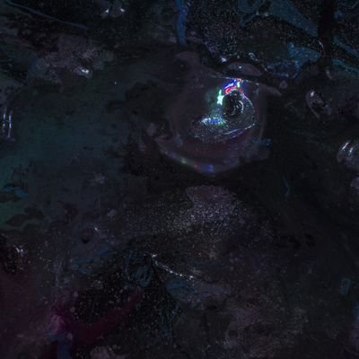 v15m1n_nft's profile picture. https://t.co/yoU4MQFX1S

IG @v15m1n.world @v15m1n.nft