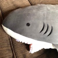 サメてゃ🦈🦈⁎* (@sameee__ty) 's Twitter Profile