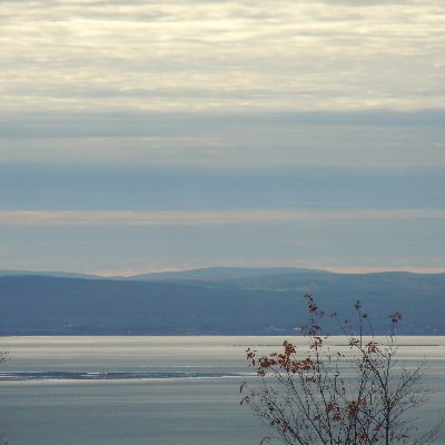 lbourgeois4's profile picture. 