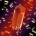 Physical NanoChemistry Group UCM (@physnanochem) Twitter profile photo Physical NanoChemistry Group UCM (@physnanochem) Twitter profile photo