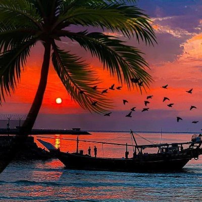 karla_jf's profile picture. Progressista