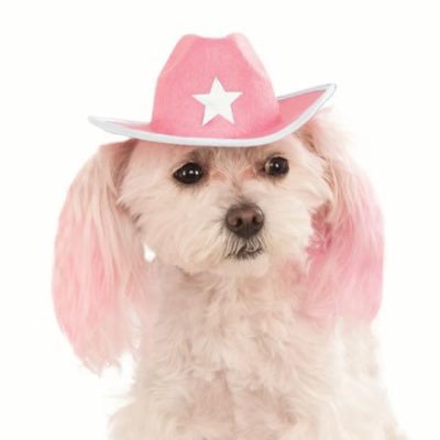 maldupays's profile picture. 