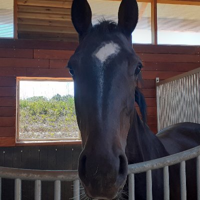 bakou52's profile picture. 🇨🇵🇨🇵🇨🇵🇨🇵🇨🇵