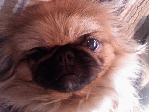 MeganPowers05's profile picture. 