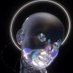 wobuzhidao Profile picture