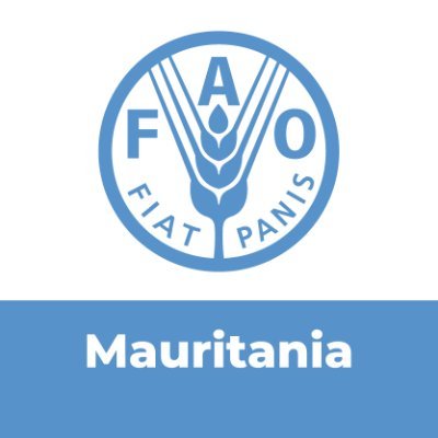 Nouvelles et dernières informations de la @FAO en #Mauritanie. Suivez notre Directeur général QU Dongyu, @FAODG.