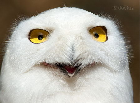 STUPITWEETZ's profile picture. Some people complain that my tweets are stupid... Maybe, I never read them.