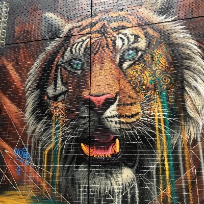 Software tester / SDET living on a rock in the sea 🌊
JS | Python | C# | Robot Framework