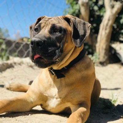 tumie____'s profile picture. civil engineering tech 👷🏾‍♂️ patience is the key 🔑YNWA ⚽️ #Mwari pazvese