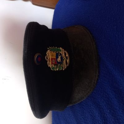 CarapaicaOfi's profile picture. Adi carapaica