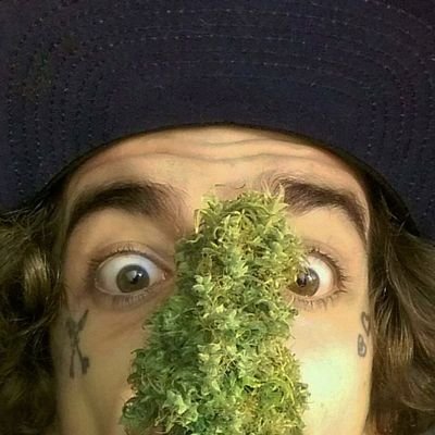 GabrielGiacon's profile picture. 