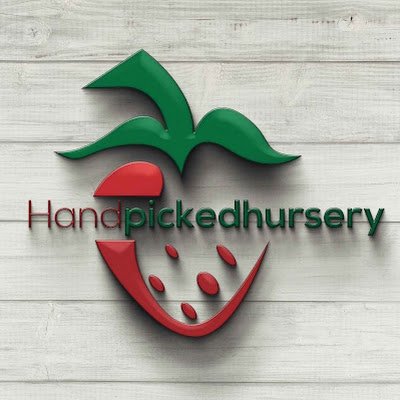 Your Online Nursery
Benson, NC 📍
Veteran Owned 🎖
Strawberries, Raspberries, Asparagus and MUCH More!