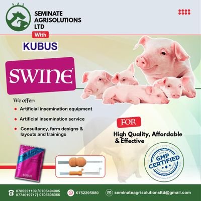We understand swine(pig) production and swine artificial insemination
