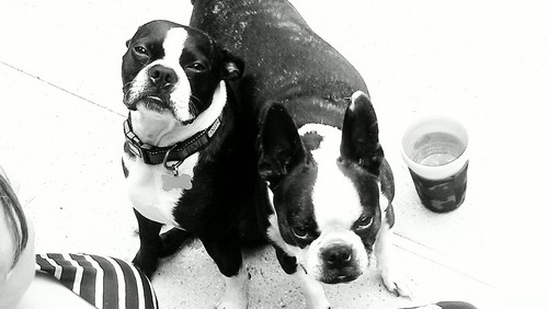 jtpappas's profile picture. 