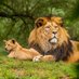 EcologyWildlifeGrants (@grantsecology) Twitter profile photo EcologyWildlifeGrants (@grantsecology) Twitter profile photo