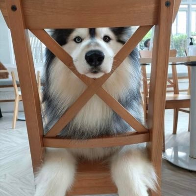 BrightboxTh's profile picture. 🍭🍩🍑🍒