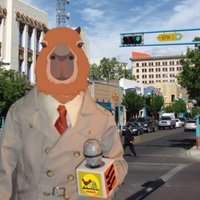 Plague Rat Traffic Report(@Geomemeaday) 's Twitter Profile Photo