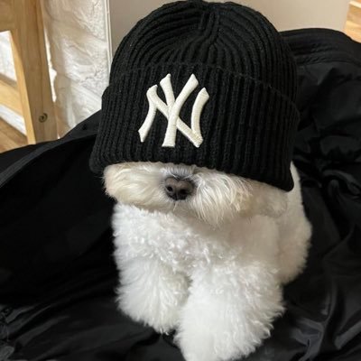 filllyyy's profile picture. 🇵🇸 always & forever.