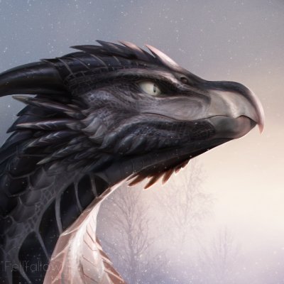 DireAltisさんのプロフィール画像
