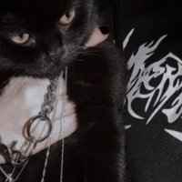crp. (@its_me_crp) 's Twitter Profile