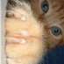 Glenn Parker (@glennpa76626857) Twitter profile photo Glenn Parker (@glennpa76626857) Twitter profile photo