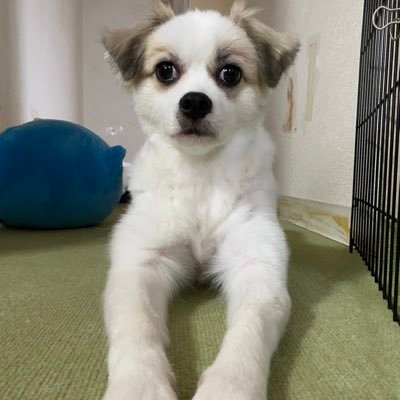 jzOw0iLZjOHbhSJ's profile picture. Unknown