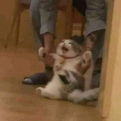 behappyai's profile picture. kata bapak, saya cantik.