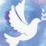 Vallekaria (@vallekaria) 's Twitter Profile