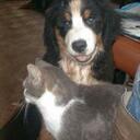 Johnny Suggs - @moosetracksbaby - Twitter