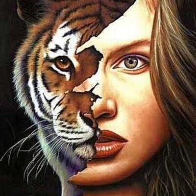 A Tigresa 🐯 (@umatigresa_) | Twitter