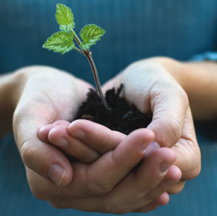 We can work together to create a cleaner Earth!