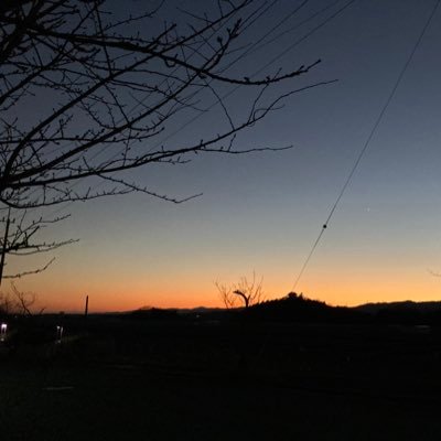 nucn_aosm's profile picture. 無言フォロー失礼します！！！！/かべうち/ぬ🦀用/成人済