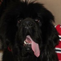 Puto (@benjus1206) 's Twitter Profile
