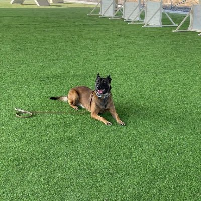 nickaryan5215's profile picture. 