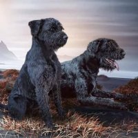 Lordstones Kennel (@ceara59341215) 's Twitter Profile