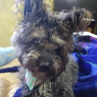 Alma Granados (@almita_granados) 's Twitter Profile Photo Alma Granados (@almita_granados) 's Twitter Profile Photo