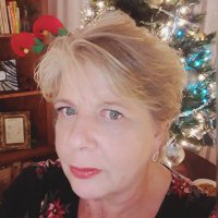 diane johnson - @metrodixie Twitter Profile Photo