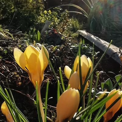 renesweb74's profile picture. 