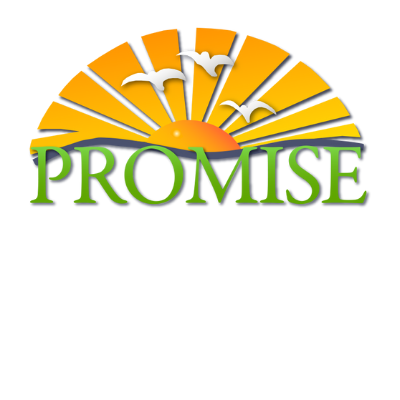 A 501(c)3 nonprofit organization, Promise is an affordable housing community in West Melbourne, Florida, that is home to 125 individuals with special needs.