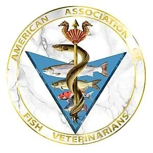 fishvets's profile picture. This public page is used to increase education and outreach about fish health, fish vets, AAFV announcements and fun aquatic content! 
https://t.co/bGWpuCTE4R