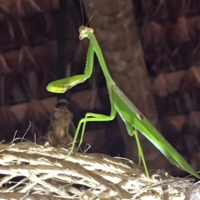 MooiMars's profile picture. Moo!marS