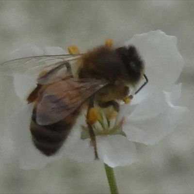 Écologiste, militant pour que le ciel ne nous tombe pas sur la tête.

https://t.co/ppTorso54t