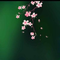 Habiba Shaban (@habibas31351718) Twitter profile photo