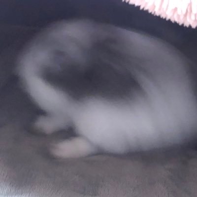 やまだのんたさんのプロフィール画像