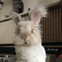 Wørdan (@w_rdan) 's Twitter Profile