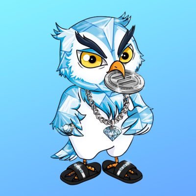 400 Owls just inhabited the Solana Ecosystem 💎🦉 buy on secondary