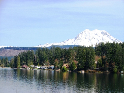 WashingtonWines's profile picture. 