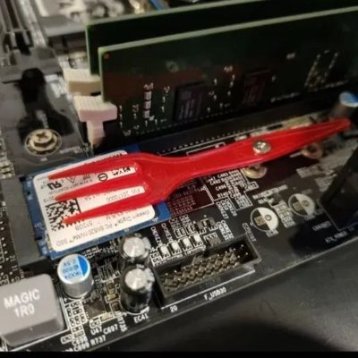 gerbermariano's profile picture. 