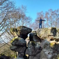 Tom Gee (@tomgeelal) 's Twitter Profile