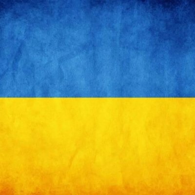 Donate to the Ukrainian army and protect democracy 🇺🇦❤️

Monobank: https://t.co/pNrYIk3Ijt
Come Back Alive: https://t.co/036smw37iU